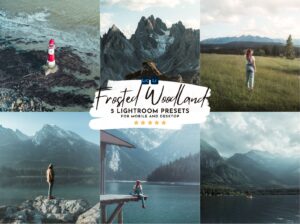Frosted Lightroom Presets Pack